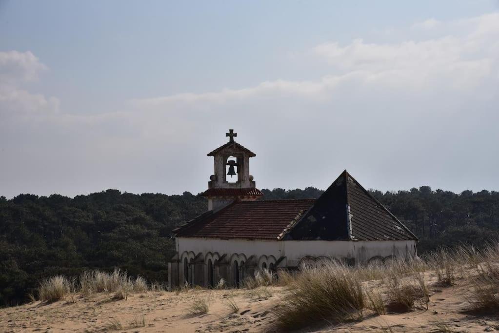 Domaine De Milha Daire Labenne Dış mekan fotoğraf